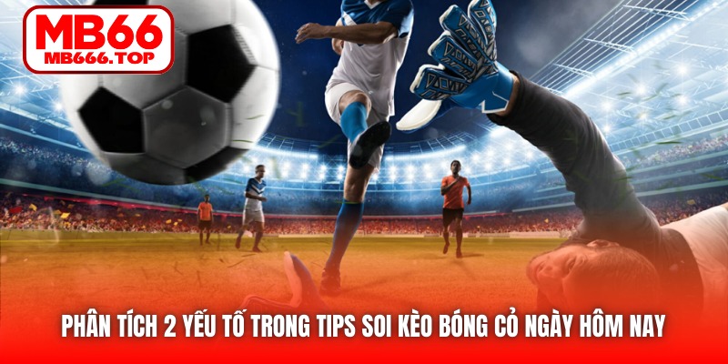 Phân tích 2 yếu tố quan trọng trong tips soi kèo bóng cỏ ngày hôm nay 